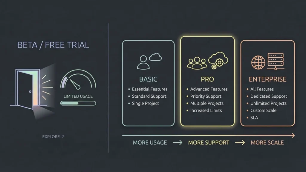Pricing overview showing beta access, basic, pro, and enterprise SaaS plans with increasing usage, support, and scale