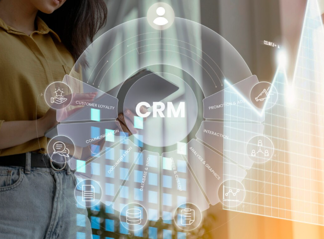 custom crm for your business by a lady