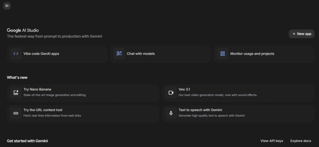 webstite official screenshot of Google AI Studio